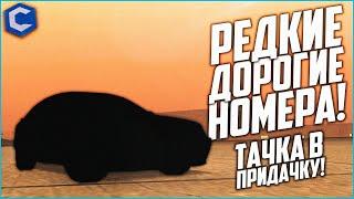 САМЫЙ НЕАДЕКВАТНЫЙ РАНДОМ! РЕДКИЕ ДОРОГУЩИЕ НОМЕРА! (ТАЧКА В ПРИДАЧКУ - MTA | CCDPlanet)