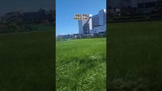 햇볕은 쨍쨍 내머리는 반짝 #태양 #반짝 #친환경 #출근길