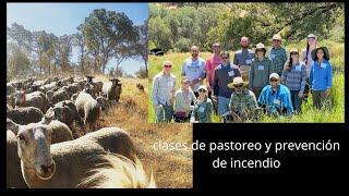 Taller de dos día sobre los beneficios del pastoreo en California.