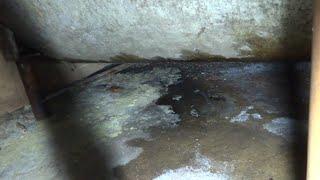 LEAKING OIL TANK LADY SEES NOTHING WRONG WITH IT