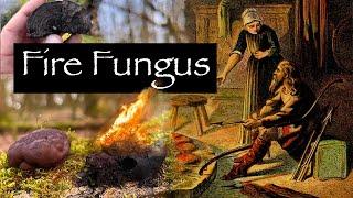 King Alfred's Cakes : The Fire Starting Fungus of Myth and Magic.