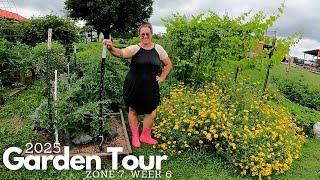 2025 Garden Tour #6: Abundant "Chaos Garden" & That's NOT What I Planted: Tomato Edition!
