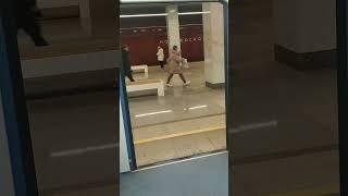 Следующая станция Потапово #метро #Потапово