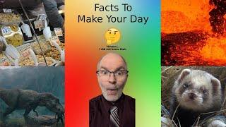 30 Random Facts to Make Your Day #39