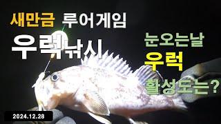 새만금 우럭낚시(2024년12월28일) 눈오는날 우럭활성도는?