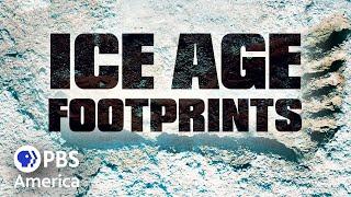 Ice Age Footprints (FULL SPECIAL) | NOVA | PBS America