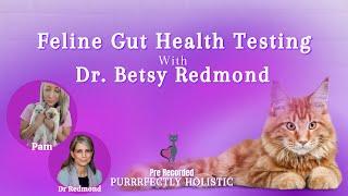 Feline Gut Health & Testing with Dr. Betsy Redmond