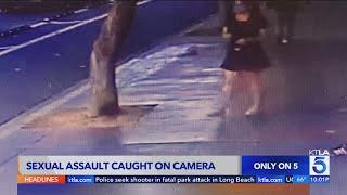 Sexual assault in Long Beach captured on cameras