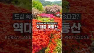 4월에 놓치면 후회하는 대박 여행지 추천!
