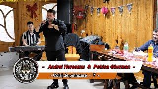 Andrei Heresanu & Petrica Gherman - Colaj de petrecere - 7 -