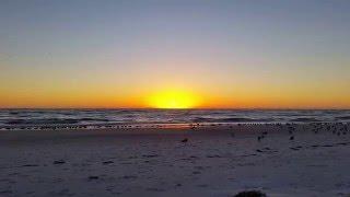 Sunset at beach on Longboat Key, Sarasota, Florida ~ TheCurrentFashion 20160211 HD