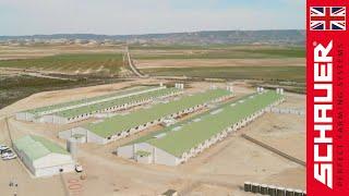 Innovative pig farm Cerdos Delux (Piensos Costas Group)!