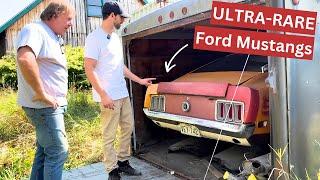 Insane Ford Mustang Collection Unearthed! Boss 429, Shelby & More!