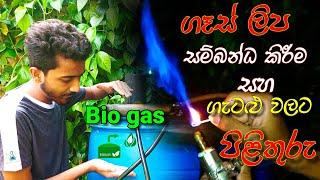 Two weeks later Biogas Unit  Update  Kitchen Waste Biogas Generator for Earn Money DIY Sri Lanka