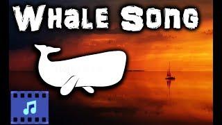 Royalty Free AMBIENT Music | Whale Song