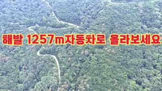 자동차로 올라갈수 있는 최고봉 축구장 6개 넓이의 초원 1257m 함 올라가 볼까요  #자동차여행 #오지산골다큐 #장마