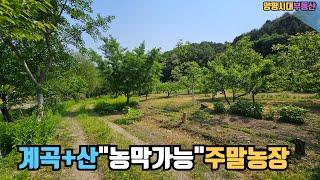 퇴촌 남종 계곡있는청정주말농장 급매.남종면 수청리 농막허가가능한 토지#전원주택/양평전원주택/양평전원주택매매#퇴촌땅/양평토지급매/양평부동산/   [매물번호 : 22228