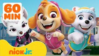 Щенячий патруль | Час спасения девочек PAW Patrol! с Скай, Свити и Эверест! | Nick Jr.