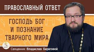 ГОСПОДЬ БОГ И ПОЗНАНИЕ ТВАРНОГО МИРА.  Священник Владислав Береговой