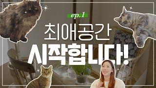 “그렇게 살기 싫었어요!” 고요가 인테리어를 시작한 계기는? [최애공간 EP1]