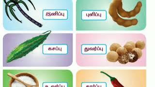 Arusuvai arivom || Book back || TAMIL|| 1ST STD || 2ND TERM||