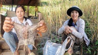 #สาวลาว ต้องผิดหวังอีกวัน เพราะวันนี้ใส่กับดักหนู ไม่ได้เลย