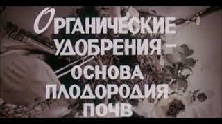 Органические удобрения – основа плодородия почв