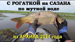 С РОГАТКОЙ на САЗАНА по мутной воде. САЗАН рвет плетенку