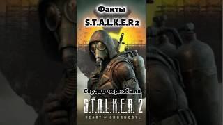 STALKER 2 Сердце Чернобыля 5 Фактов за минуту которые вас удивят