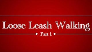 Loose Leash Walking Part 1/6- Starting in the Home