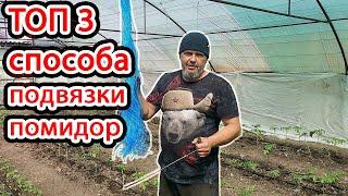 3 ЛУЧШИХ СПОСОБА Подвязки Помидор в теплице