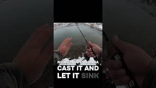 Catching Trout on Marshmallows! (Catch & Cook) #catchandcook #fishing #troutfishing