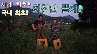 "최첨단 뜰채로" 2시간 만에 18kg 잡다