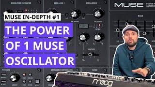 Squeezing the sound options of the first Muse oscillator | Moog Muse In-Depth - Oscillators (Part1)