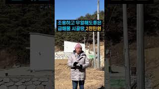 소액땅 경북땅, 가성비 좋은 시골땅 추천매물~#소액물건 #체류형쉼터 #farming #급매
