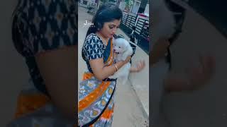 My Love Vj Archana TikTok Video | Dog  Love Whatsapp Status |RajaRani 2 Serial Actress Home