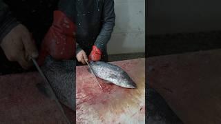 Crazy Sharp Knife vs Barramundi | Fillet & Scale Like a Master