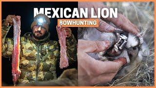 Bowhunting Mountain Lion in Mexico:  Is it really the Best Wild Meat? ‍️