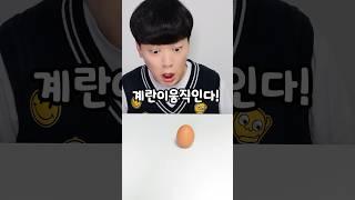 계란에서 병아리가 부화를!!!