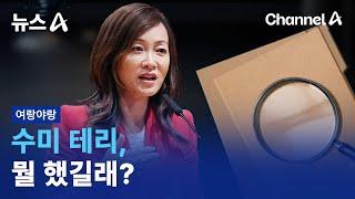 [여랑야랑]수미 테리, 뭘 했길래? | 뉴스A