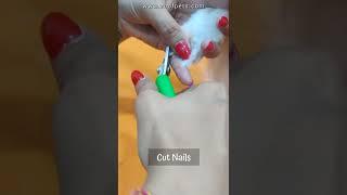 Paw care Tips | Paw protection wax from Zoof Pets (LINK IN DESCRIPTION) #SHORTS#dogshorts#pawcare