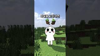 마인크래프트가 망가졌습니다
