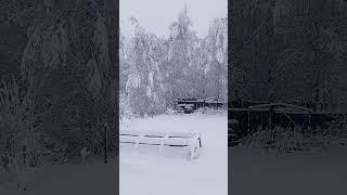 Морозко пришёл в мае! Екатеринбург.