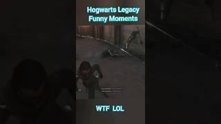 WTF Moments - Hogwarts Legacy 