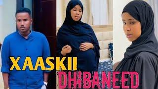 SOMALI SHORT FILM XAASKII DHIBANEED PART 1 | QISO QOYS | WAA QISO AAD U XANUUN BADAN | 