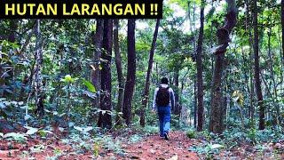 Sendirian Berpetualang di Hutan️Santai Mendengarkan Suara Alam️