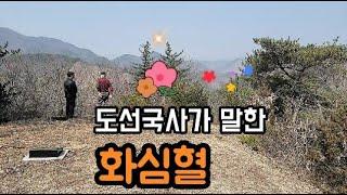 도선국사가 말씀하신 꽃 명당 #명당 #풍수지리