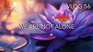 Vlog 56 WE ARE NOT ALONE * Patricia Cota-Robles