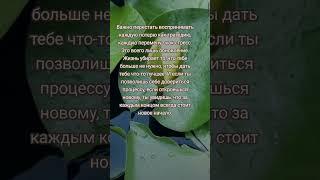 Жизнь убирает то, что тебе уже не нужно.