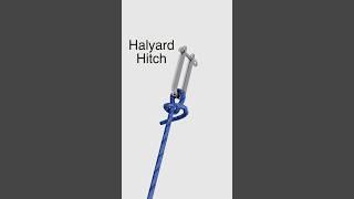 Halyard Hitch - line to shackle - How To Tie Boating Knots #knots